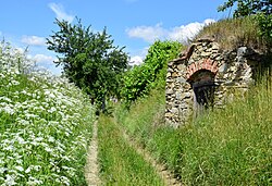 Reikersdorf, Feldweg Richtung Raan in Reikersdorf (Maissau)