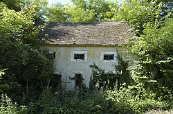 „Horner Straße“ in Reinprechtspölla (Burgschleinitz-Kühnring)