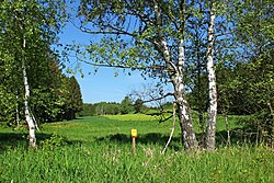 Reitzenschlägerbach