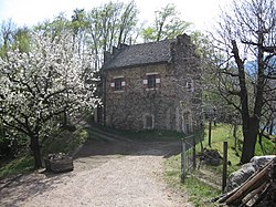Ries auf Montigl