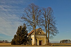 2 Linden bei der Roten Kapelle