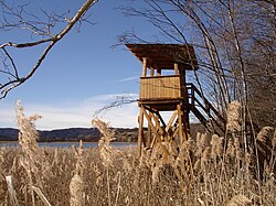 Sablatnigmoor bei Eberndorf