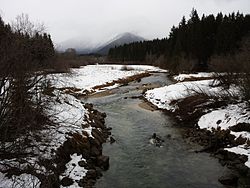 Mündungsbereich der Salza in den Stausee Pass Stein