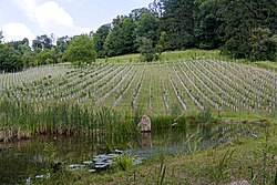 Mönchsberg-Rainberg
