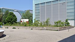 Projekt für das NÖ Landesmuseum St. Pölten