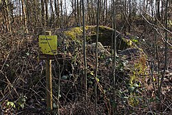 Felsgebilde Schalenstein