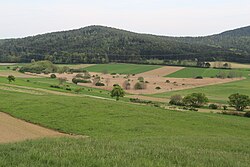 Schilfbestand und Feuchtwiesen