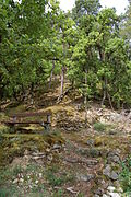 Schlossbühel Schwarzgrub