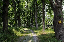 40 Bäume im Schlosspark von Lichtenau