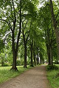 Schlosspark Matzen östlicher Teil
