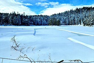 Der Möserer See im Winter