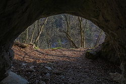 Schutzgebiet Repolusthöhle