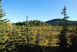 Von der Aussichtsplattform bietet sich ein guter Überblick, im Hintergrund der Stoff Kogel in der ehemaligen Gemeinde Osterwitz