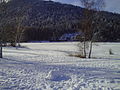 Der zugefrorene Wildsee im Winter