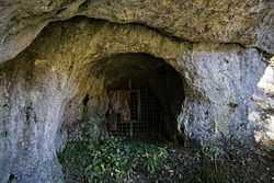 Seeriegelhöhle