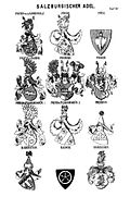 Gräfliches Wappen derer von Pranckh zu Pux in Siebmachers Wappenbuch des Salzburgischen Adels, 1883