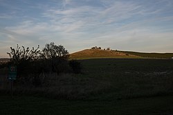 Siegendorfer Pußta und Heide