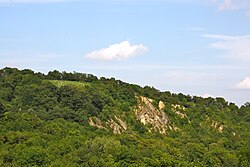 Geologischer Aufschluss „Sieveringer Steinbrüche“