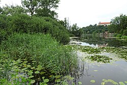 Teichgelände (Teilgebiete)
