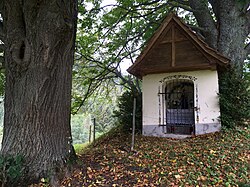 2 Sommer-Linden in Hinterpreims