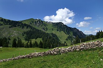 Blick auf den Hirschberg aus Richtung Süden