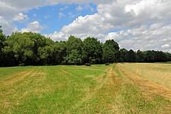 Horstnahe Storchenwiesen und Auwaldzellen im Nahbereich des Grenzflusses Lainsitz