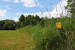 Horstnahe Storchenwiesen und Auwaldzellen im Nahbereich des Grenzflusses Lainsitz