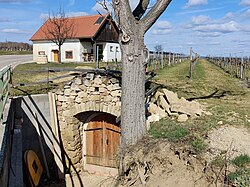 Limberger Straße in Straning (Straning-Grafenberg)