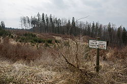 Schutzgebiet Tanneben