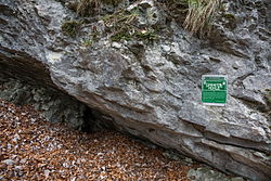 Tausgrotte