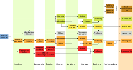 Verarbeitungsstufen der sechs Teearten