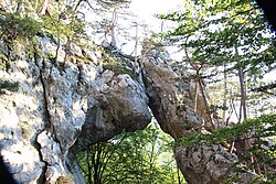 Teufelsbrücke (Löwenkopf)