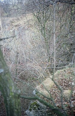 Teuschlbruch