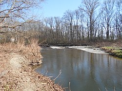 Schwechatau zwischen Tribuswinkel und Traiskirchen
