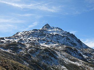 Tristkopf von Norden