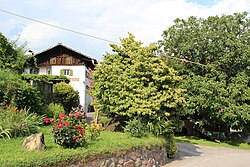 Tschaupp