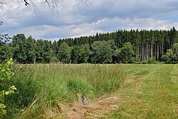 Torfau