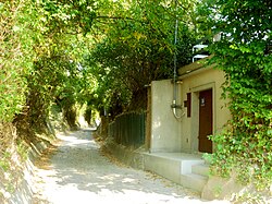 Untere Jungenberggasse in Stammersdorf (Wien)