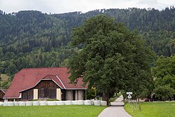 Stiel-Eiche in St. Martin