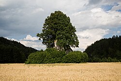 Teufelsstein in Jaunstein