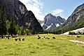Innerfeldtal