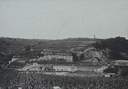 Versuchsweingarten ca. 1880.