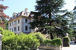 Villa Linda, Schafferstraße 24