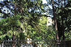 Villa Stoddard, Grabmayrstraße 11-13