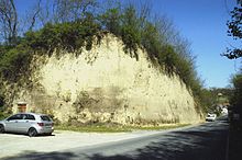 Lössformation bei Ruppersthal