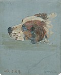 Hundekopf, 1919