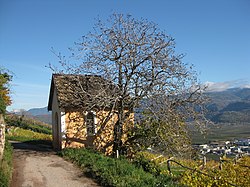 Kapelle in Rungg