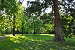Schlosspark Weilburgpark