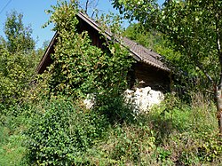 Weinberg in Sittersdorf