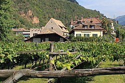 Oberrautner